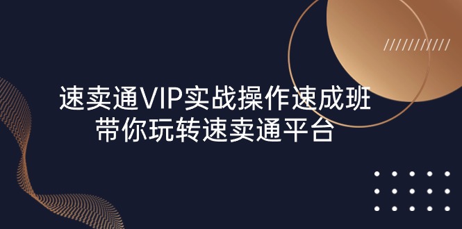 速卖通 VIP实战操作-速成班，带你玩转速卖通平台（23节）_网创之家