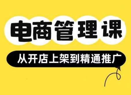 小红书&闲鱼开店从开店上架到精通推广，电商管理课_网创之家