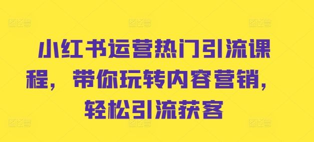 小红书运营热门引流课程，带你玩转内容营销，轻松引流获客_网创之家