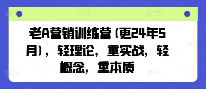 老A营销训练营(更24年10月)，轻理论，重实战，轻概念，重本质_网创之家