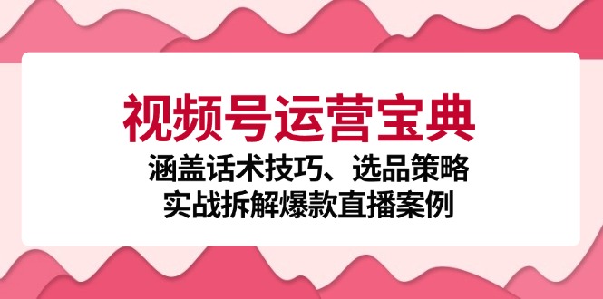 视频号运营宝典：涵盖话术技巧、选品策略、实战拆解爆款直播案例_网创之家