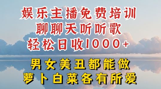 娱乐主播免费培训聊聊天听听歌轻松日收1K+，男女美丑都能做萝卜白菜各有所爱【揭秘】_网创之家