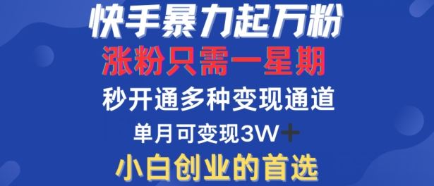 快手暴力起万粉，涨粉只需一星期，多种变现模式，直接秒开万合，单月变现过W【揭秘】_网创之家