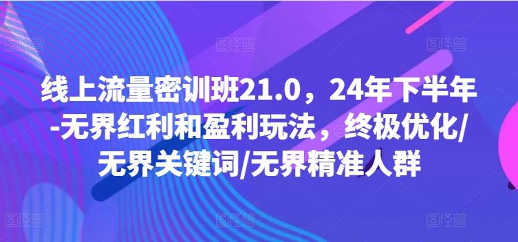 线上流量密训班21.0，24年下半年-无界红利和盈利玩法，终极优化/无界关键词/无界精准人群_网创之家