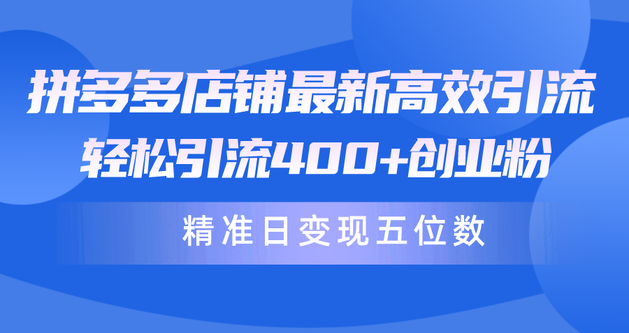 拼多多店铺最新高效引流术，轻松引流创业粉，精准日变现五位数！_网创之家