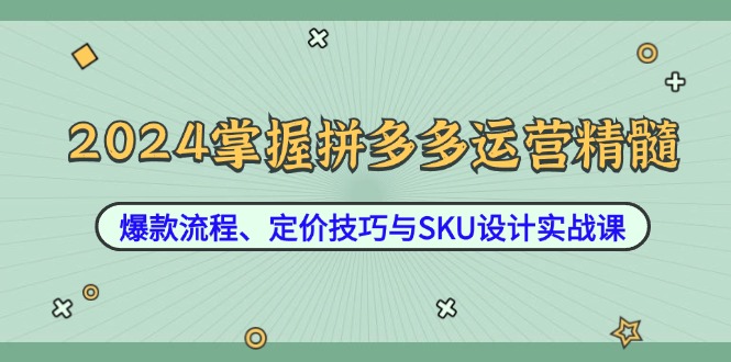 2024掌握拼多多运营精髓：爆款流程、定价技巧与SKU设计实战课_网创之家