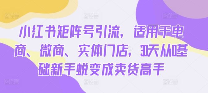 小红书矩阵号引流，适用于电商、微商、实体门店，30天从0基础新手蜕变成卖货高手_网创之家