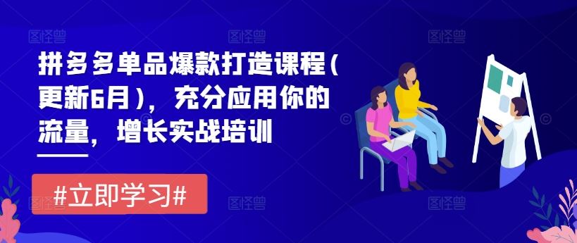 拼多多单品爆款打造课程(更新6月)，充分应用你的流量，增长实战培训_网创之家