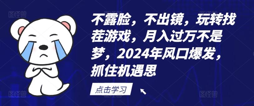 不露脸，不出镜，玩转找茬游戏，月入过万不是梦，2024年风口爆发，抓住机遇【揭秘】_网创之家