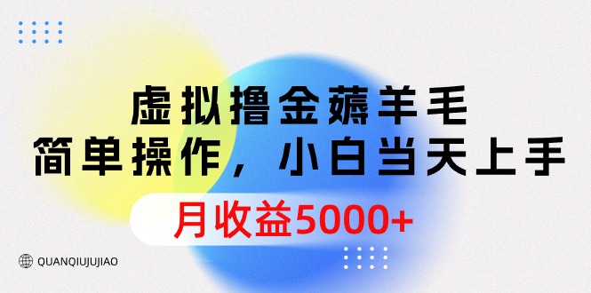 虚拟撸金薅羊毛，简单操作，小白当天上手，月收益5000+_网创之家