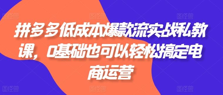 拼多多低成本爆款流实战私教课，0基础也可以轻松搞定电商运营_网创之家