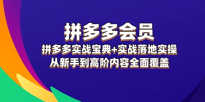 拼多多 会员，拼多多实战宝典+实战落地实操，从新手到高阶内容全面覆盖_网创之家