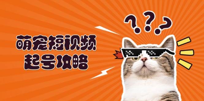 萌宠短视频起号攻略：定位搭建推流全解析，助力新手轻松打造爆款_网创之家