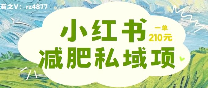 小红书减肥粉，私域变现项目，一单就达210元，小白也能轻松上手【揭秘】_网创之家