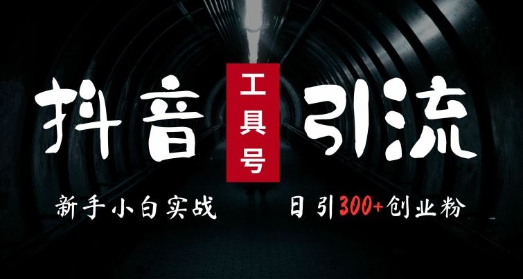 2024最新抖音工具号引流玩法，高效日引300+创业粉，当天变现5k，小白也可成为实战高手_网创之家