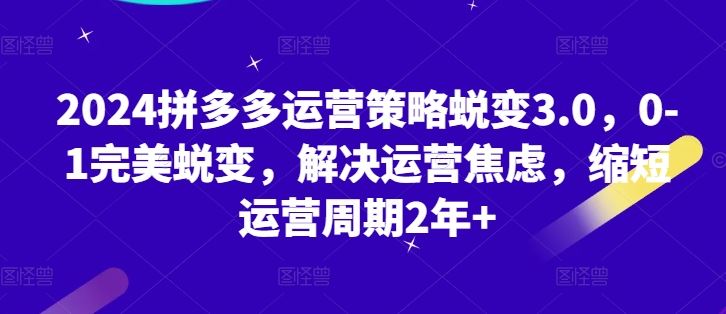 2024拼多多运营策略蜕变3.0，0-1完美蜕变，解决运营焦虑，缩短运营周期2年+_网创之家