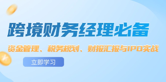 跨境 财务经理必备：资金管理、税务规划、财报汇报与IPO实战_网创之家