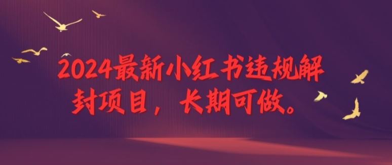 2024最新小红书违规解封项目，长期可做，一个可以做到退休的项目【揭秘】_网创之家