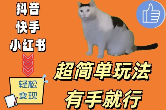 超简单玩法，有手就行，靠猫咪视频日入500+【揭秘】_网创之家