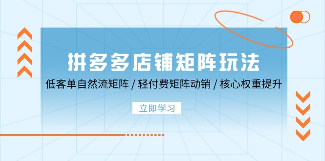 拼多多店铺矩阵玩法：低客单自然流矩阵 / 轻付费矩阵 动销 / 核心权重提升_网创之家