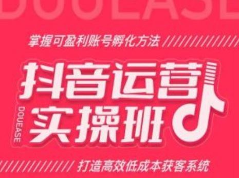 抖音运营实操班，掌握可盈利账号孵化方法，打造高效低成本获客系统_网创之家