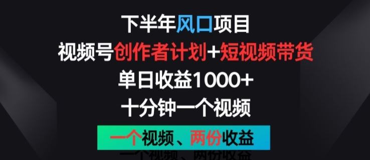 下半年风口项目，视频号创作者计划+视频带货，一个视频两份收益，十分钟一个视频【揭秘】_网创之家