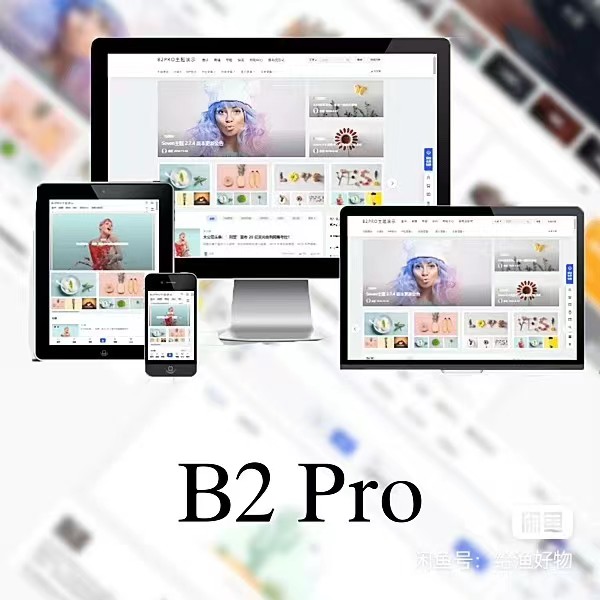 WordPress B2 Pro 主题5.2.0最新开心版,附带官方包体与授权文件_网创之家