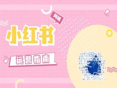 小红书运营指南，没有套路，全是经验_网创之家