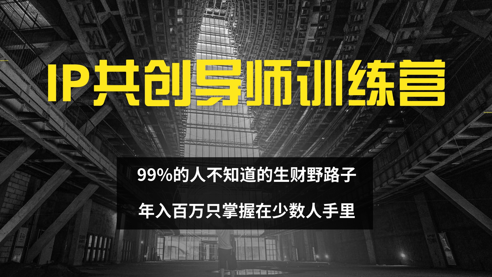 IP共创导师训练营 99%的人不知道的生财野路子 只掌握在少数人手里_网创之家