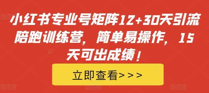 小红书专业号矩阵12+30天引流陪跑训练营，简单易操作，15天可出成绩!_网创之家