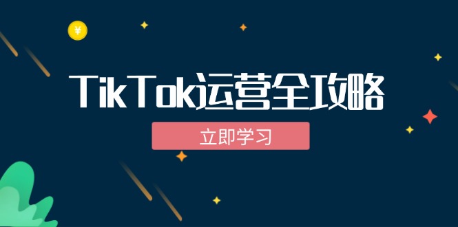 TikTok实战运营全攻略：从下载软件到变现，抖音海外版实操教程_网创之家