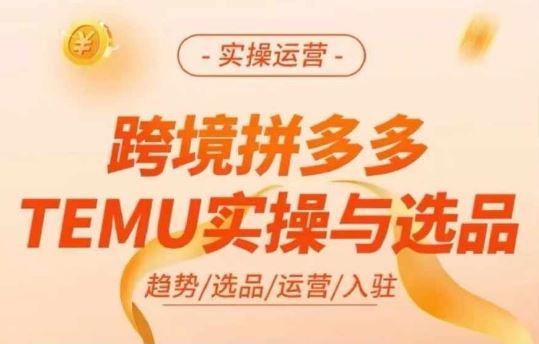 跨境拼多多TEMU实操与选品，多多temu跨境选品运营实操_网创之家