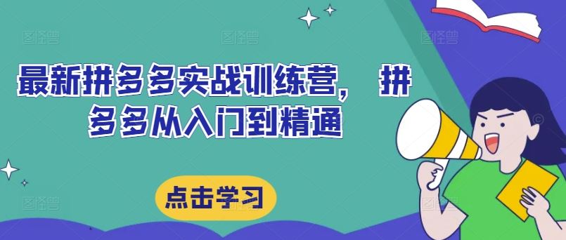 最新拼多多实战训练营， 拼多多从入门到精通_网创之家