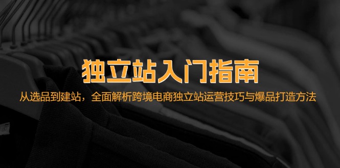 独立站入门指南：从选品到建站，全面解析跨境电商独立站运营技巧与爆品…_网创之家