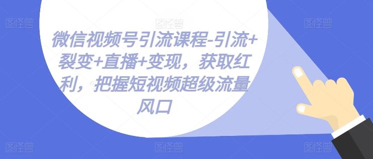 微信视频号引流课程-引流+裂变+直播+变现，获取红利，把握短视频超级流量风口_网创之家