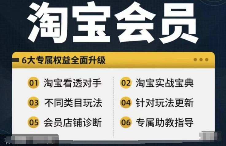 淘宝会员【淘宝所有课程，全面分析对手】，初级到高手全系实战宝典_网创之家