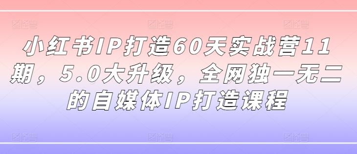 小红书IP打造60天实战营11期，5.0大升级，全网独一无二的自媒体IP打造课程_网创之家