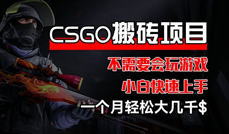 CSGO 装备搬砖项目，操作简单，不需要会玩游戏，小白也能快速上手，一个月轻松大几千【揭秘】_网创之家