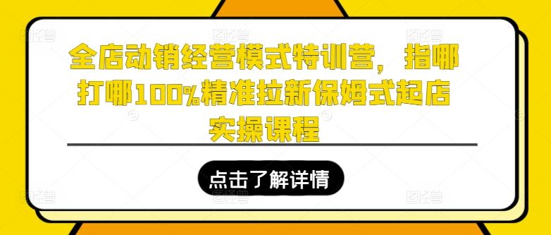 全店动销经营模式特训营，指哪打哪100%精准拉新保姆式起店实操课程_网创之家