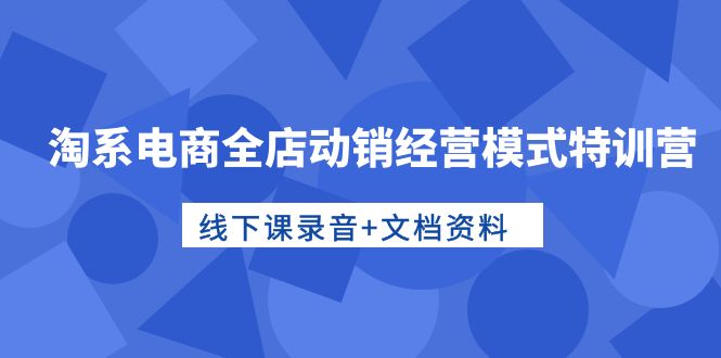 淘宝电子商务全店动销运营模式夏令营，面授课音频 档案文件_网创之家