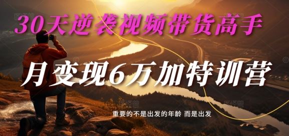 30天逆袭视频带货高手，单月变现6万加特训营-麦子甜_网创之家