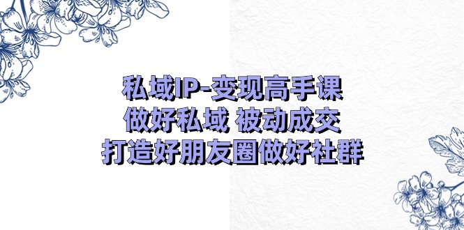 私域IP-变现高手课：做好私域 被动成交，打造好朋友圈做好社群（18节）_网创之家