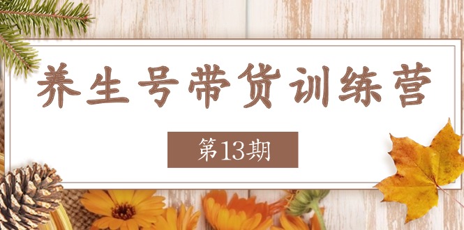 养生号-带货训练营【第13期】收益更稳定的玩法，让你带货收益爆炸_网创之家