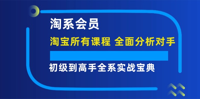 淘系会员【淘宝所有课程，全面分析对手】，初级到高手全系实战宝典_网创之家