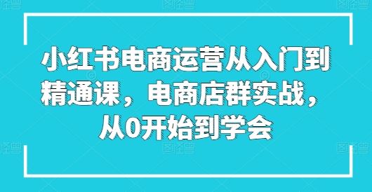 小红书电商运营从入门到精通课，电商店群实战，从0开始到学会_网创之家