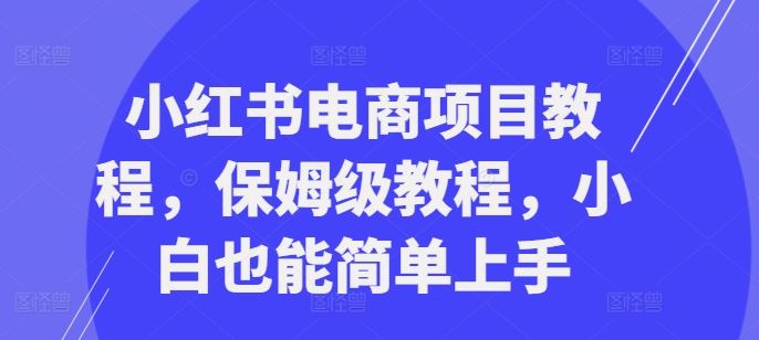 小红书电商项目教程，保姆级教程，小白也能简单上手_网创之家