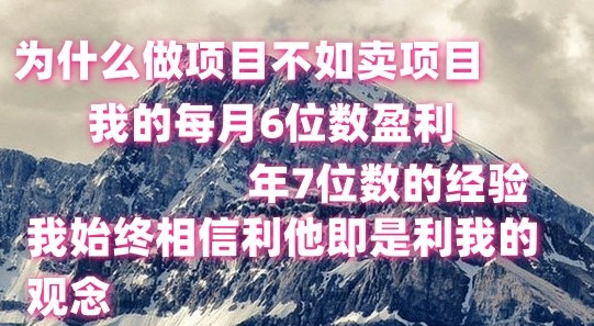 做项目不如卖项目，每月6位数盈利，年7位数经验_网创之家