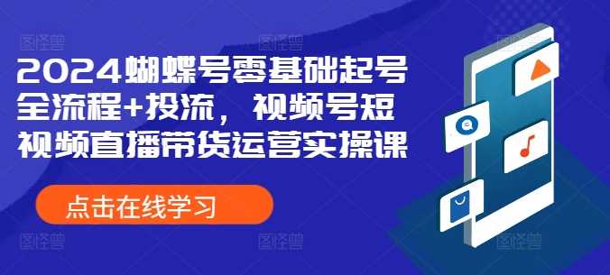 2024蝴蝶号零基础起号全流程+投流，视频号短视频直播带货运营实操课_网创之家