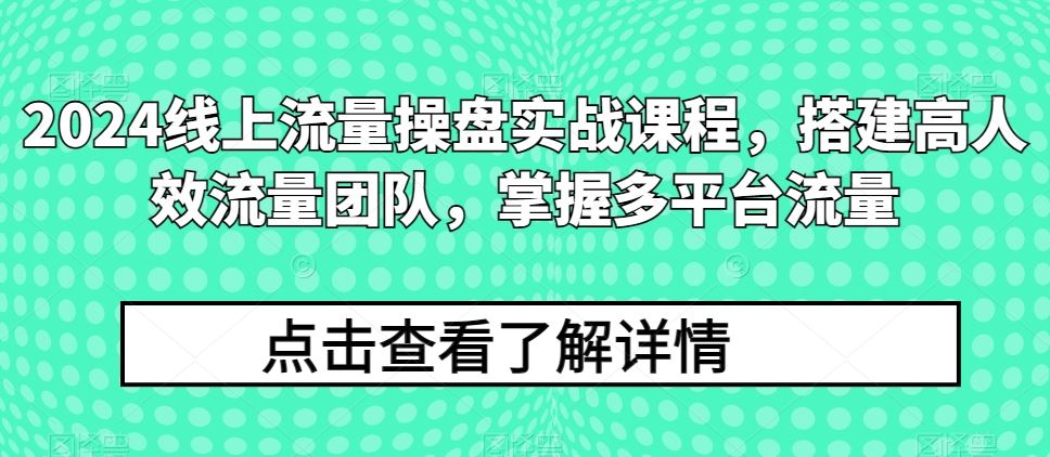 2024线上流量操盘实战课程，搭建高人效流量团队，掌握多平台流量_网创之家