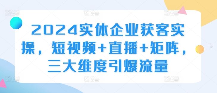 2024实体企业获客实操，短视频+直播+矩阵，三大维度引爆流量_网创之家